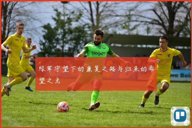 绿军守望下的康复之路与归来的希望之光