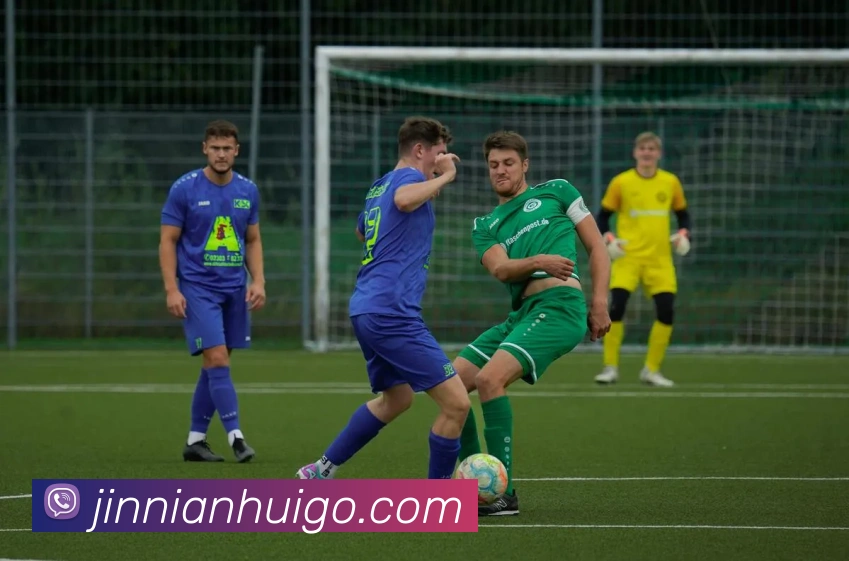 金年会发展历程